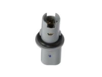 GM 25794790 Socket, Rear GM 25794790 Socket, Rear