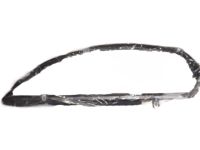 GM 22751685 Run Channel, Front Outer Driver Side GM 22751685 Run Channel, Front Outer Driver Side
