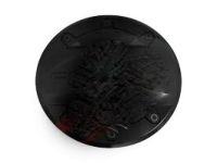 GM 22781878 Fuel Door, Outer GM 22781878 Fuel Door, Outer