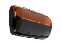 GM 15219564 Roof Lamp Assembly, Center
