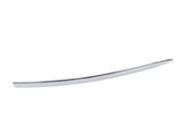GM 20816961 Body Side Molding, Front Driver Side GM 20816961 Body Side Molding, Front Driver Side