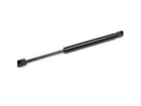 GM 15825422 Lift Cylinder, Rear
