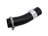 GM 25887138 Lower Hose GM 25887138 Lower Hose