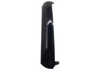 GM 15187928 Side Molding, Driver Side GM 15187928 Side Molding, Driver Side