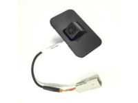 GM 23378804 Rear Camera, Driver Side