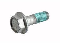 GM 15656027 Rocker Molding Screw, Rear