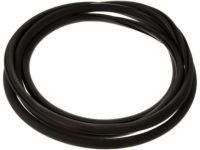 GM 15893292 Glass Weatherstrip GM 15893292 Glass Weatherstrip