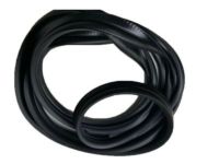 GM 10371150 Surround Weatherstrip, Rear
