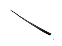GM 15095432 Reveal Molding GM 15095432 Reveal Molding