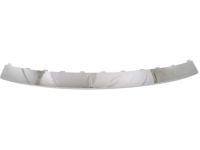 GM 20983444 Step Pad