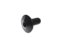 GM 23256471 Spoiler End Bolt, Rear