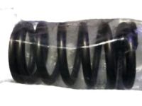 GMC Rocker Shaft Spring Kit - 12596078 Valve Springs