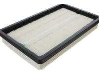 GM 10366901 Air Filter GM 10366901 Air Filter
