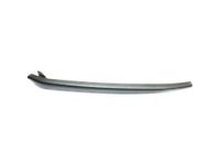 GM 84165548 Outer Molding, Driver Side