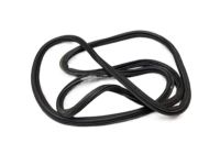 GM 22826591 Weatherstrip, Rear GM 22826591 Weatherstrip, Rear