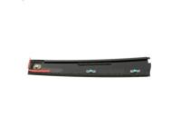 GM 84263145 Applique, Front Passenger Side