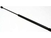 GM 15161943 Lift Cylinder, Driver Side