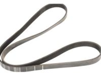 GM 12643218 Serpentine Belt GM 12643218 Serpentine Belt