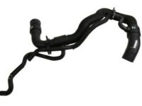 GM 19258629 Lower Hose GM 19258629 Lower Hose