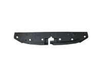 GM 23316877 Sight Shield, Front