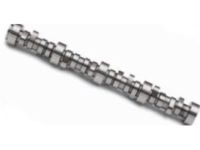 GM 12623064 Camshaft GM 12623064 Camshaft