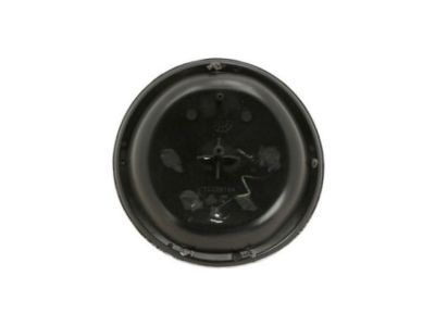 Buick Terraza Emblem - 10339164