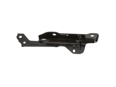GM 84087720 Hinge, Driver Side