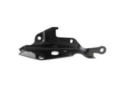 GM 84253087 Assist Spring, Driver Side