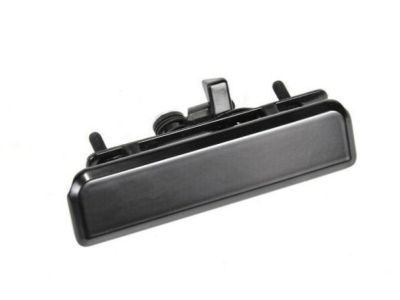 Chevy Astro Door Handle - 15173052