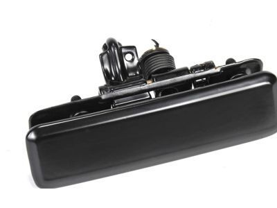 Chevy Astro Door Handle - 15719665