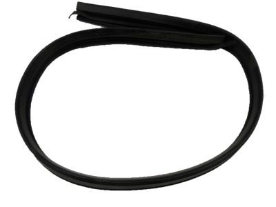 2000 Cadillac Escalade Weather Strip - 15983928