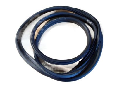 Saturn Weather Strip - 13200156