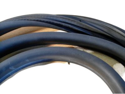 Saturn Weather Strip - 13200156
