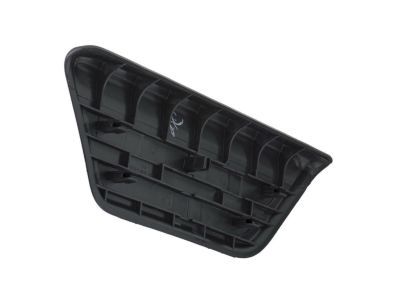 GM 15709893 Step Pad, Rear Driver Side