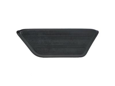 GM 15709893 Step Pad, Rear Driver Side