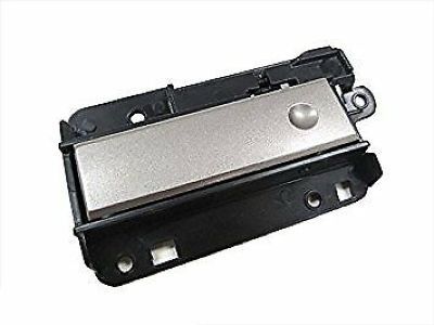 GM 15914995 Latch, Silver