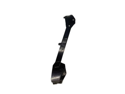 Cadillac 16613874 Lower Molding Clip