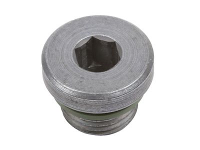 GM 24266994 Plug, Transfer Case 24266994 GM Plug, Transfer Case Product Photo 1 of 2