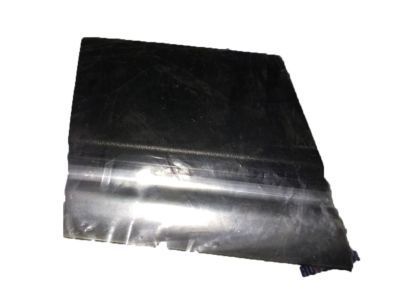 GM 15023285 Body Side Molding, Front Driver Side