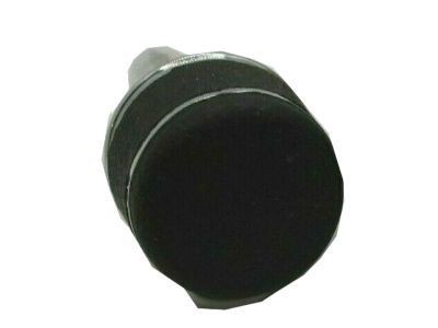 Buick Shift Knob - 22509532