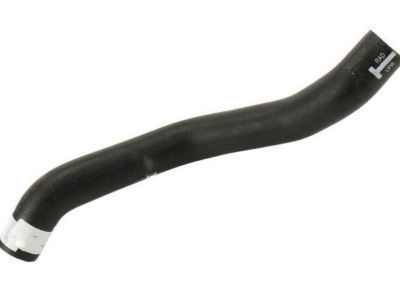 Pontiac G6 Cooling Hose - 25822191