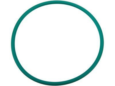 Buick 12580255 Filter Assembly Seal