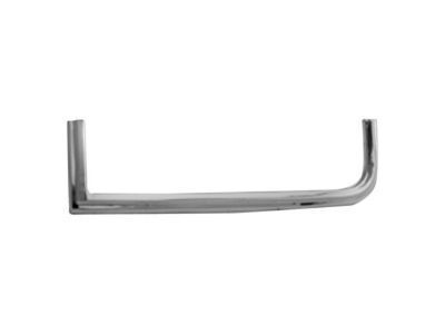 Chevy 15593228 Molding