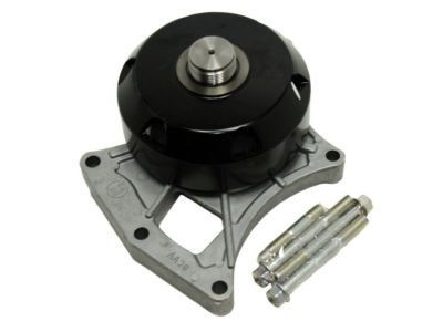 Chevy Water Pump Pulley - 12625313