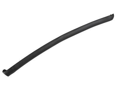 GM 23253595 Weatherstrip, Side Door Opening 23253595 GM Weatherstrip, Side Door Opening Product Photo 1 of 1