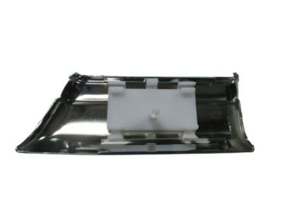 Buick 25602891 Side Molding