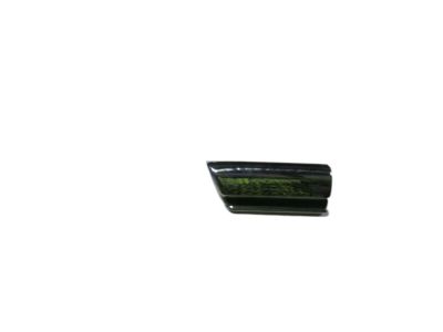 Buick 25602891 Side Molding