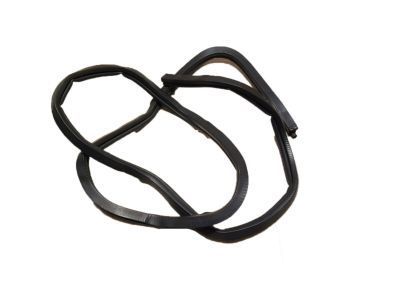 2000 Chevy Impala Weather Strip - 10419497