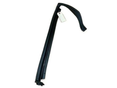 GMC Envoy Weather Strip - 25846199