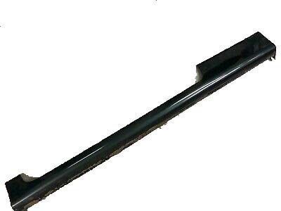 Pontiac Door Moldings - 10246320